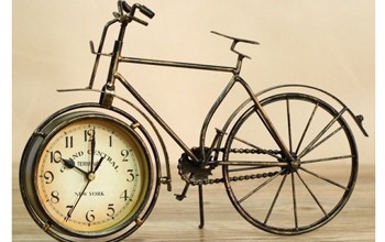 Evolution of the Bicycle