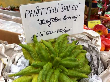 Phật Thủ Đại Cụ