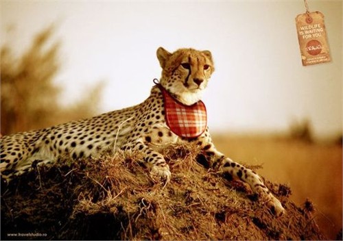 t635277