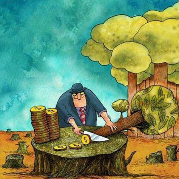 Vì lợi nhuận, con người sẵn sàng tàn phá rừng mà không nghĩ tới hậu quả.
