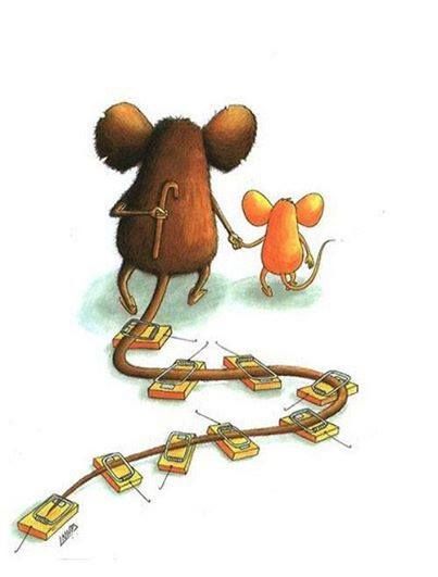 Đừng sợ thất bại, bởi những thất bại sẽ giúp chúng ta trưởng thành hơn. Hãy nhớ rằng: "Không ai trưởng thành mà chưa từng vấp ngã".